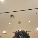 차홍룸 강남점 중단발 미디움펌 내돈내산 방문 후기