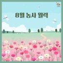 [농사정보] 균형의 계절이자 휴식과 준비의 8월 농사 월력