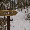 선유랑마을 Daum카페