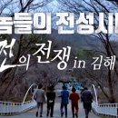 238 | [놀면 뭐하니? 238회] 김해 여행코스 뉴욕버거, 김해수로왕릉, 가야랜드 ,진영 할매갈비 위치 정보 총정리]