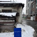 [양주/카페] 분위기 좋은 카페 추천 애견동반카페 몽다르크