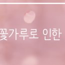 꽃보다이비인후과의원 이미지