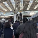 청혼의 의자 | [공지] 황도 블로그, 황민현 2026 도화원 팬미팅 첫 콘, 중 콘 후기,하이터치 영상