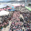 붉은대게 이미지