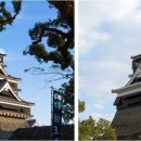 웰빙나라(과일이랑야채랑) 이미지