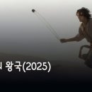 비디오왕국 이미지