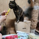 (주)온힐 이미지