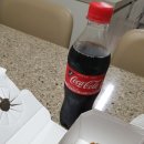 호식이두마리치킨월배대천점 이미지