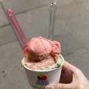 수제통한의원 | [비엔나 여행 후기] 현지인 추천 맛집부터 조카가 일하는 한식당 ‘바비다’까지