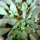 따유기 이미지