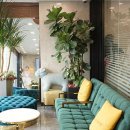 대치수피부과의원 이미지