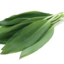 인경농장 이미지