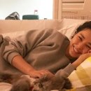 러블리 강아지 이미지