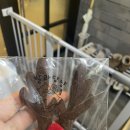 발라당냥 이미지