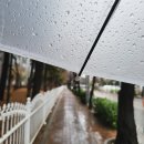 에스엔에스파트너 | 가정용스피닝자전거 업그레이드된 라운드 핸들 멜킨 ERG바이크 사용후기