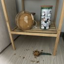 [d+269~270] 후기이유식시작, 시하솜 강변산책, 카페포토존 성공, 아가들 투샷찍기, 초장에 손가락찍기