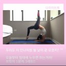 브릿지 이미지
