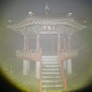 도마령(영) 네이버블로그