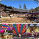 동방건축사 | [충남 공주] 마곡사 산책🌿비파잎차 마시고 소원잎 쓰기