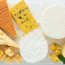 Wellness Gym 이미지