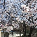 산천가든 이미지