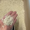 두부두부 이미지