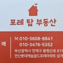 진영부동산공인중개사사무소 이미지