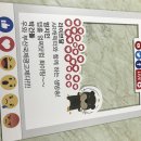 송디자인 이미지