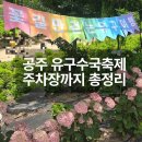 공주 유구 수국축제 유구색동수국정원 개화상황 주차장정보