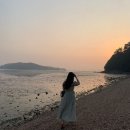 밥푸리의 여름 원피스 모음집 [아비에무아,라플라, 오드라인, 한섬 오브제, 더캐시미어, COS, 온스 등등]