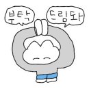 워시아지트 이미지