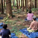 더불어숲 이미지