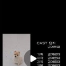 꼼꼼하개 이미지