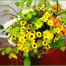 지곡초등학교 이미지