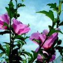 풍경농장 이미지