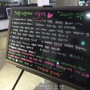 나르매애견 이미지