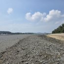 태안 남산리 바다인접 임장 다녀온 계획관리 330평 최고쉼터 추천 이미지