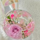 인천중학교 내 이미지