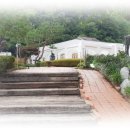 이다의숲 이미지