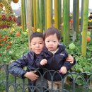 자연농원 이미지