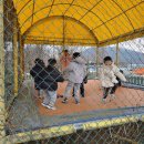 고구려목장 이미지