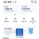 프로젝트엘비스