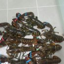 인천낚시터 이미지