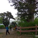 상하옥 향우회 태백산 산행 (5) 장군봉 가는 길 풍경 이미지
