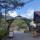 대아수목원휴게실 | 대아수목원 산책하고 둘러보고 왔어요.