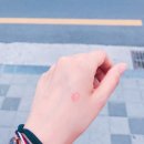 민트게스트하우스 이미지