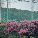 플로라모텔 이미지