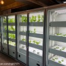 베얼스이얼스(Bear's ears) 이미지