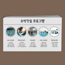 중급 어린이 수영교실 이미지