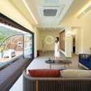 콜라니티다 이미지